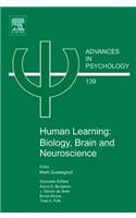 Human Learning