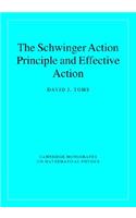 Schwinger Action Principle and Effective Action