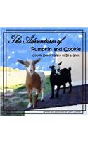Adventures of Pumpkin and Cookie