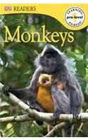 DK Readers L0: Monkeys