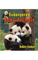 Endangered Baby Animals