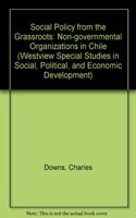 Social Policy from the Grassroots: Nongovernmental Organizations in Chile