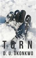 Torn (The Salzburg Saga Book 2)