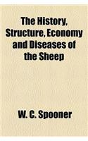 The History, Structure, Economy and Diseases of the Sheep