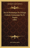 Sur Un Plesiolampas De L'Afrique Centrale Communique Par M. Paquier (1907)