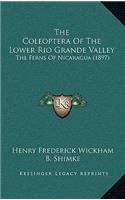 Coleoptera Of The Lower Rio Grande Valley: The Ferns Of Nicaragua (1897)