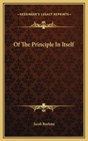 Of The Principle In Itself