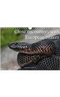 Close Encounters with European Snakes / UK-Version 2017