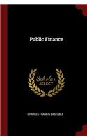 Public Finance