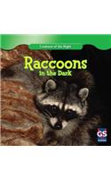 Raccoons in the Dark