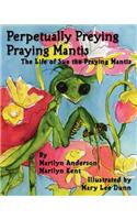 Perpetually Preying Praying Mantis