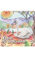 Angie, the Tundra Swan