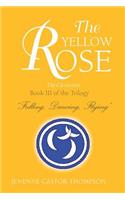 Yellow Rose