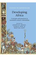 Developing Africa