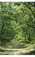 A Forest Path Through a Sun Dappled Forest Nature Journal: 150 Page Lined Notebook/Diary
