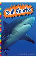 Bull Sharks