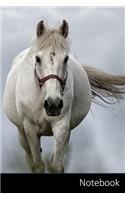 Notebook: White Horse, Horse, Nature, Animal themed Notebook / Journal / Diary / Composition book / Daily Planner - 6 x 9 inches (15,24 x 22,86 cm), 150 pages