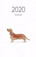2020 Dachshund