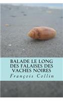 Balade le long des falaises des Vaches Noires