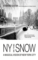 New York in the Snow