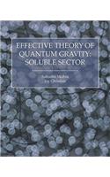 Effective Theory of Quantum Gravity