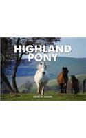 Spirit of the Highland Pony