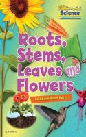 Roots, Stems, Leaves and Flowers: All About Plant Parts(FUNdamental Science Key Stage 1)