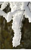 Branches of a Tree Covered in the Frost of Winter Journal: Take Notes, Write Down Memories in this 150 Page Lined Journal