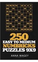 250 Easy to Medium Numbricks Puzzles 9x9