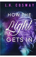 How the Light Gets In