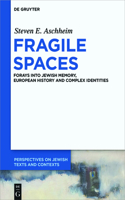 Fragile Spaces: Forays Into Jewish Memory, European History and Complex Identities