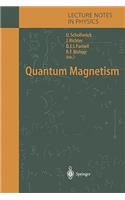 Quantum Magnetism