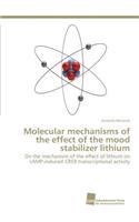Molecular mechanisms of the effect of the mood stabilizer lithium
