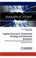 Capital Structure, Investment Strategy and Financial Decisions