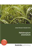 Heliotropium Anomalum