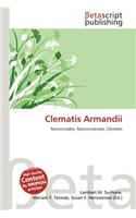 Clematis Armandii