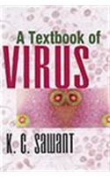 A Textbook of Virus