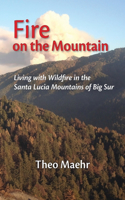 Fire on the Mountain