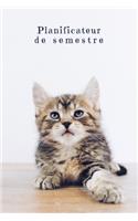 Planificateur de semestre: Planificateur de semestre pour les étudiants et les élèves avec un horaire pour 4 semestres - Design: Chat mignon