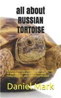 all about RUSSIAN TORTOISE