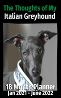 Thoughts of My Italian Greyhound