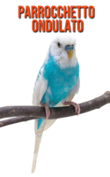 Parrocchetto ondulato: Immagini bellissime e fatti interessanti Libro per bambini sui Parrocchetto ondulato