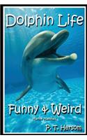 Dolphin Life Funny & Weird Marine Mammals: Learn with Amazing Photos and Fun Facts About Dolphins and Marine Mammals