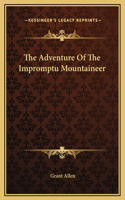 The Adventure Of The Impromptu Mountaineer