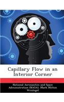 Capillary Flow in an Interior Corner