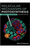 Molecular Mechanisms of Photosynthesis