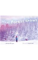 What Forest Knows