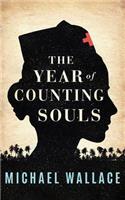 Year of Counting Souls