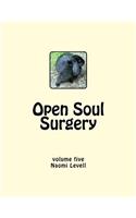 Vol. 5, Open Soul Surgery, large print edition