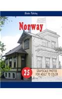 Cities Grayscale Coloring Book for Adult Landmarks in Norway Grayscale Coloring Book